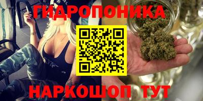 ешки Краснокаменск